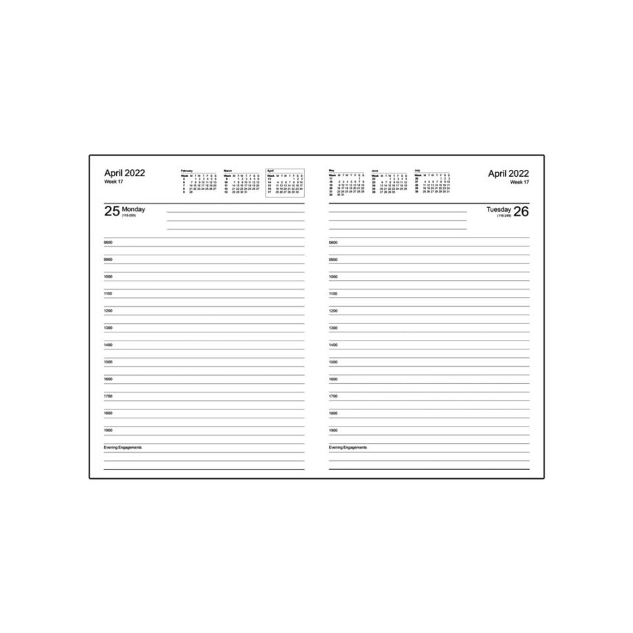 DATADAY - ESSENTIAL A5 DAY-A-PAGE WITH APPOINTMENTS
