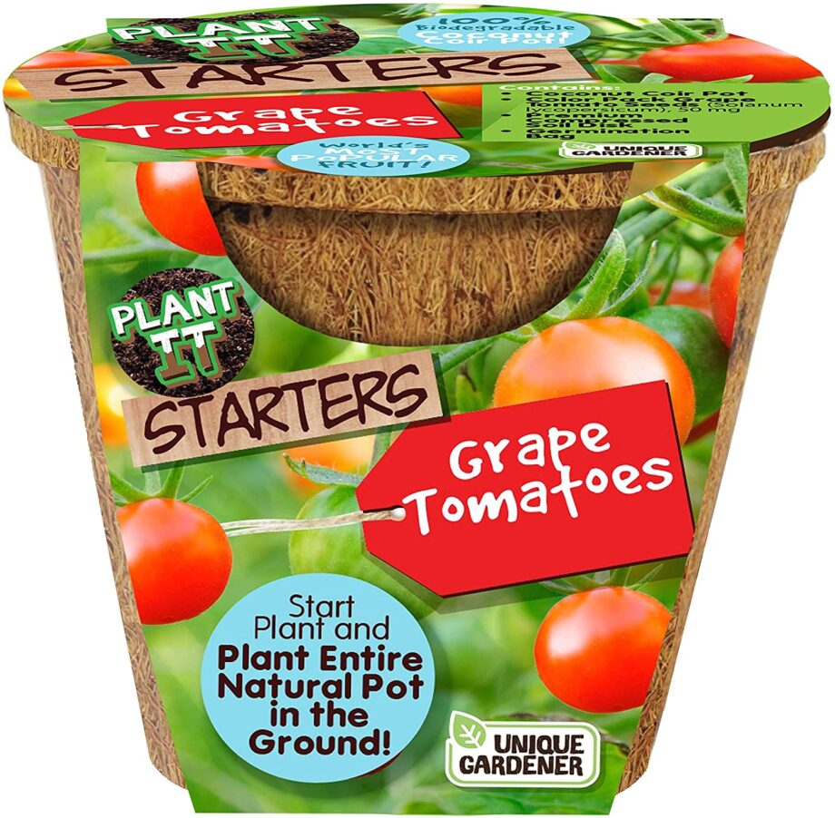 UNIQUE GARDENER - GRAPE TOMATOES - PLANT IT STARTERS