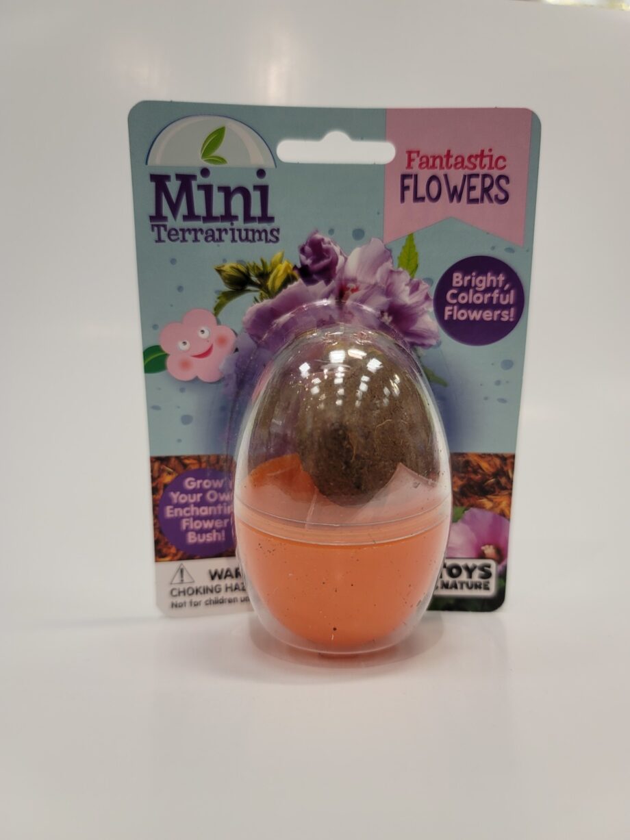 Mini Terrarium Fantastic Flowers