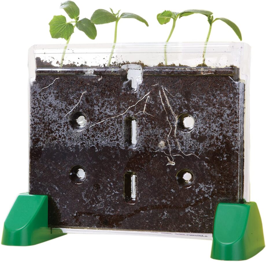 EDUCATIONAL INSIGHTS - SPROUT & GROW WINDOW PLANT GROWING KIT