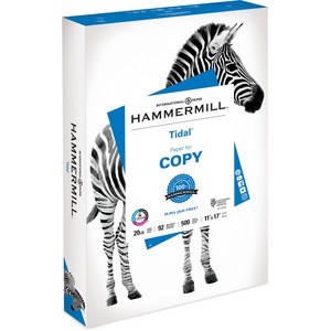 HAMMERMILL - PAPER, COPY, 28#, LETTER, COLOR, 3-HOLE PUNCHED (Case of 8  reams) - The Stationery Store & Authorized FedEx Ship Centre