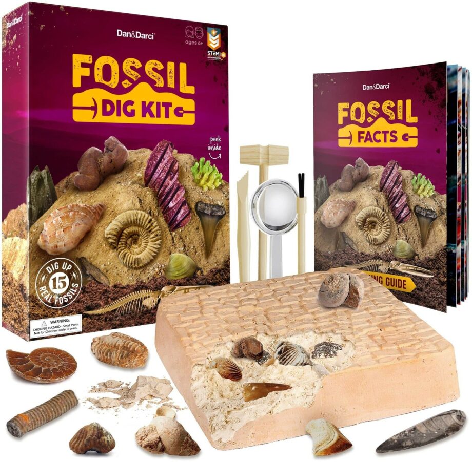 DAN & DARCI - Mega Fossil Dig Kit