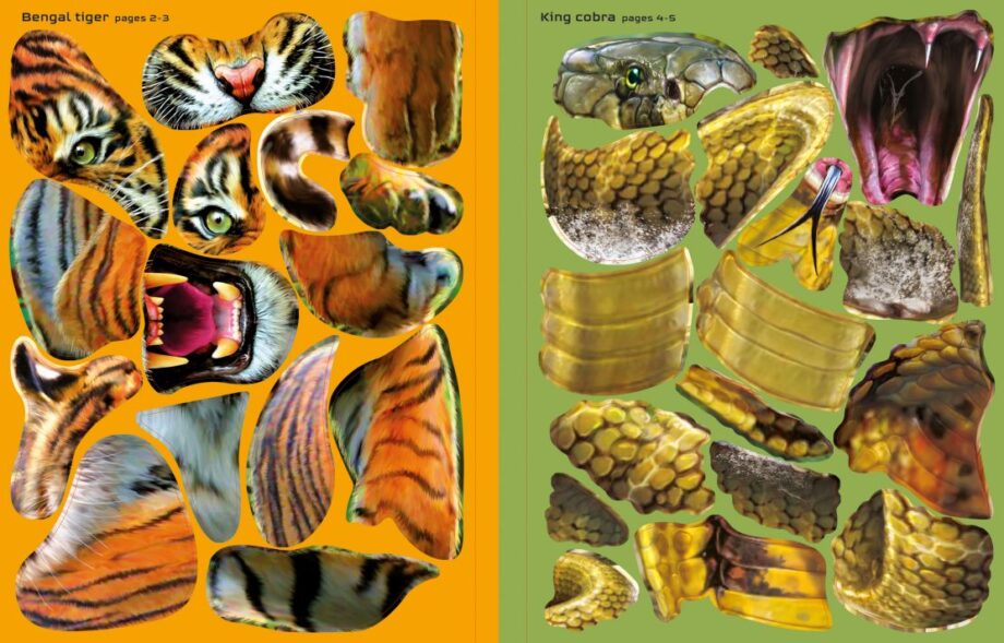 USBORNE - BUILD YOUR OWN DEADLY ANIMALS STICKER BOOK