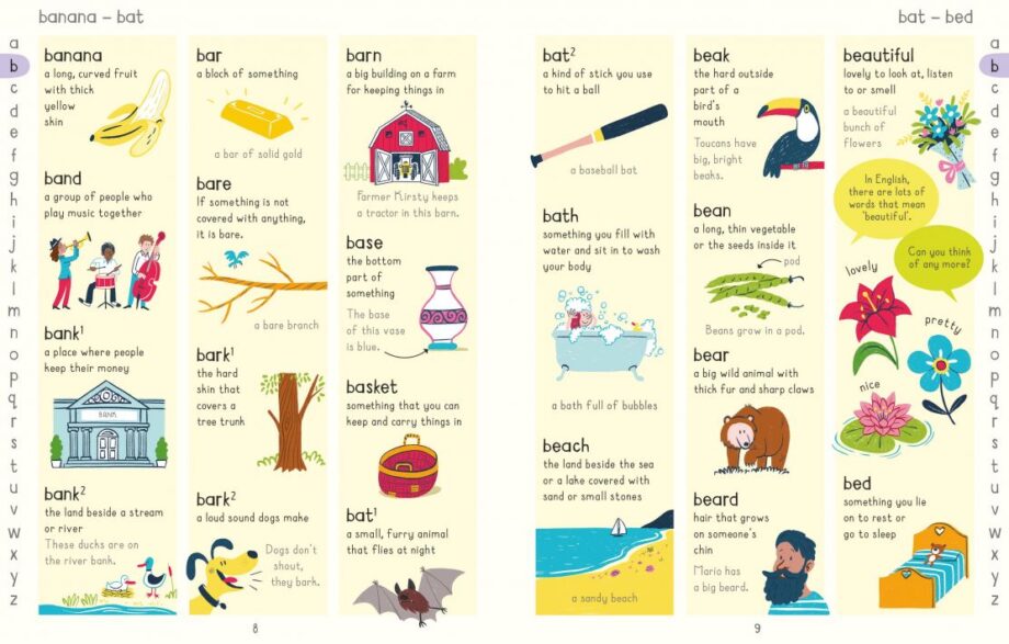 USBORNE - PICTURE DICTIONERY
