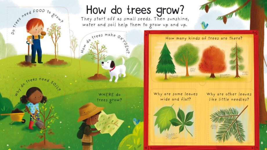 USBORNE - FIRST QUESTIONS AND ANSWERS: WHY DO WE NEED TREES?