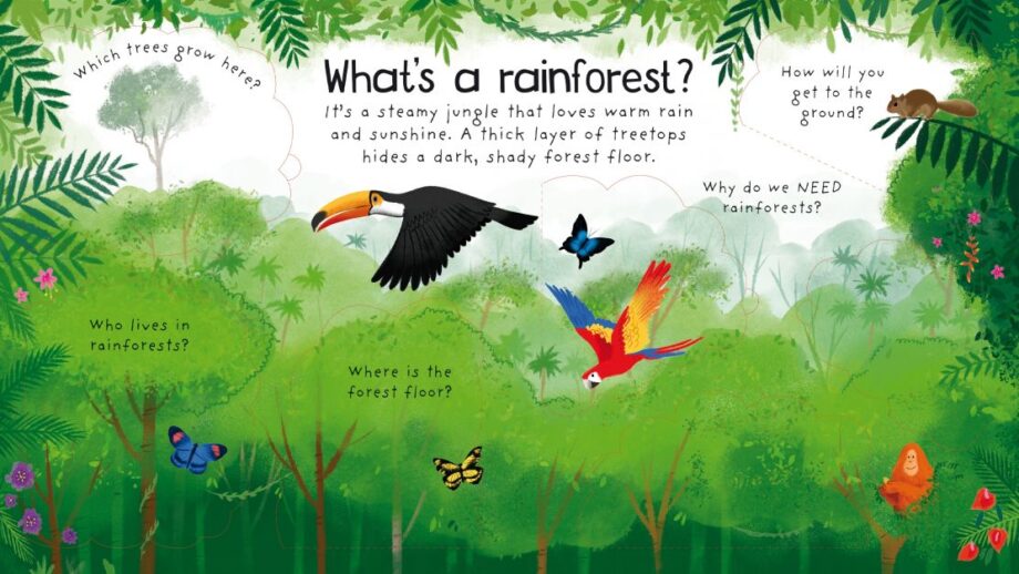 USBORNE - FIRST QUESTIONS AND ANSWERS: WHY DO WE NEED TREES?