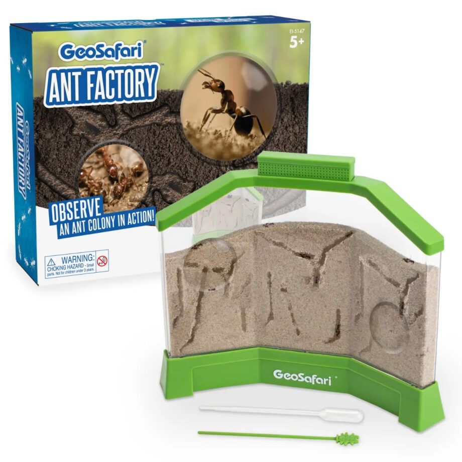 EDUCATIONAL INSIGHTS - GEOSAFARI ANT FACTORY