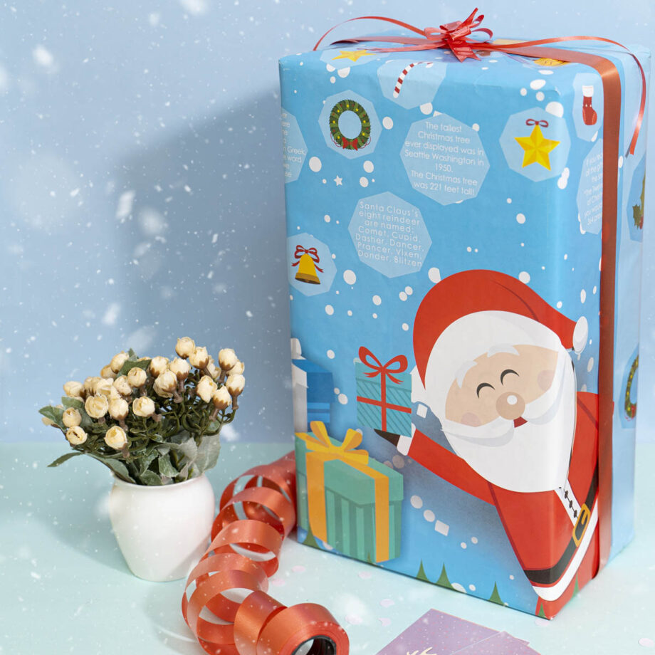 EVINCE - SANTA GIFT WRAPPING PAPER WITH FACTS - SET OF 10